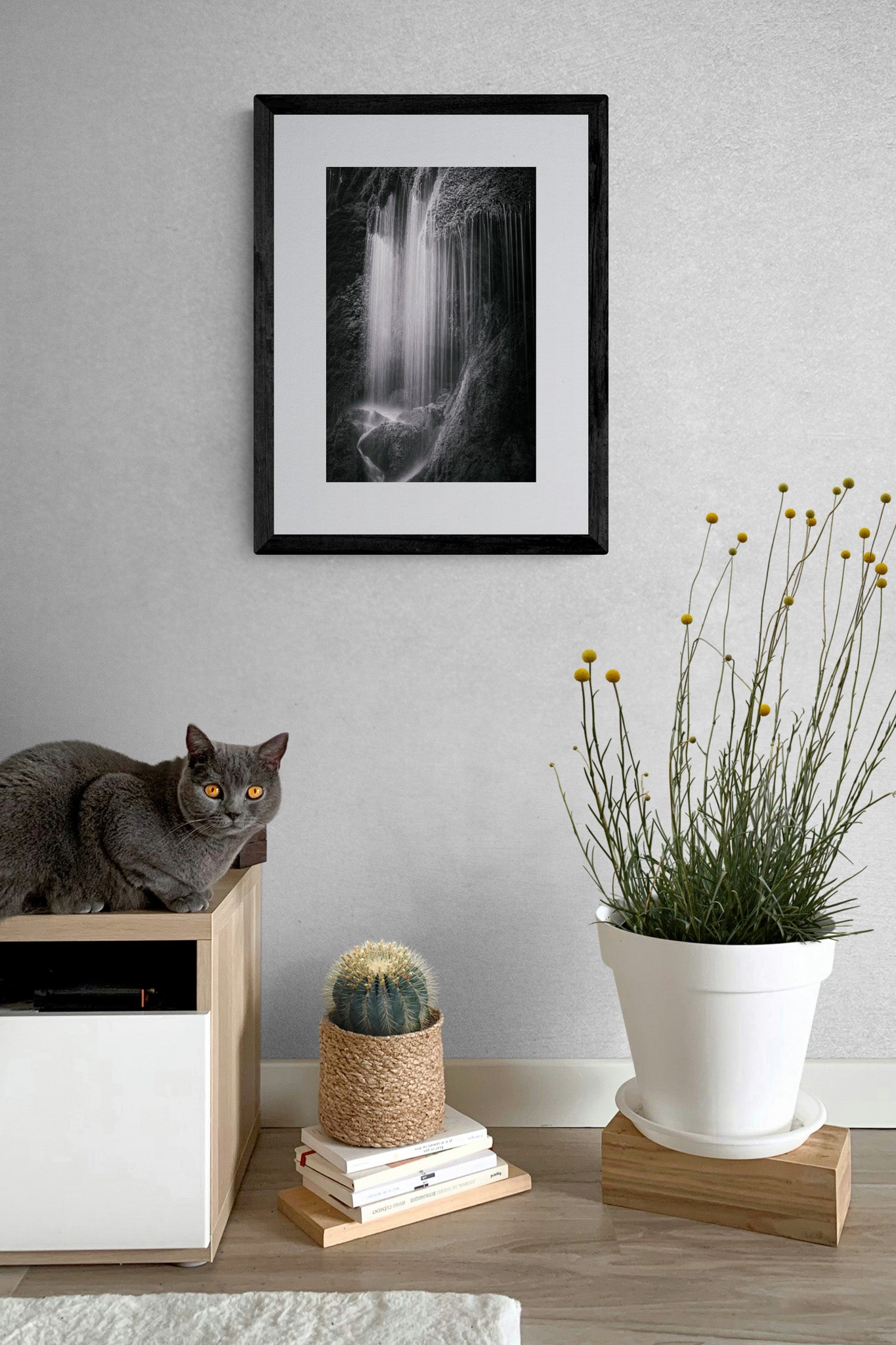 Image Title: Veil of Water Photographer: Marcus Danz Location: Wildsteig, Germany Image description: Fanned out by the moss growth, this waterfall (Schleierfälle) conjures up a gentle veil that seems to be made of precious silk threads. High quality Fine Art print up to 36 inch / around 90 centimeters on Hahnemühle paper available. Small variant in living room.