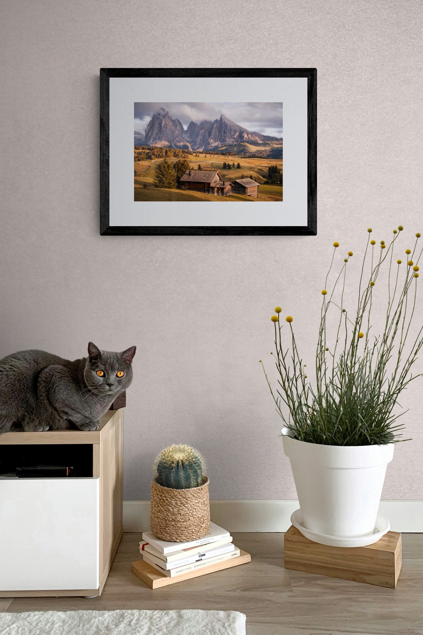 Image Title: A Tyrol Tidbit Photographer: Marcus Danz Location: Alpe di Siusi, Italy Image description: While increasingly dense clouds pass by the peaks of the mighty Sassolungo group, the pasture catches the warm light of the soon-to-set sun one more time. High quality Fine Art print up to 36 inch / around 90 centimeters on Hahnemühle paper available. Small variant in living room.