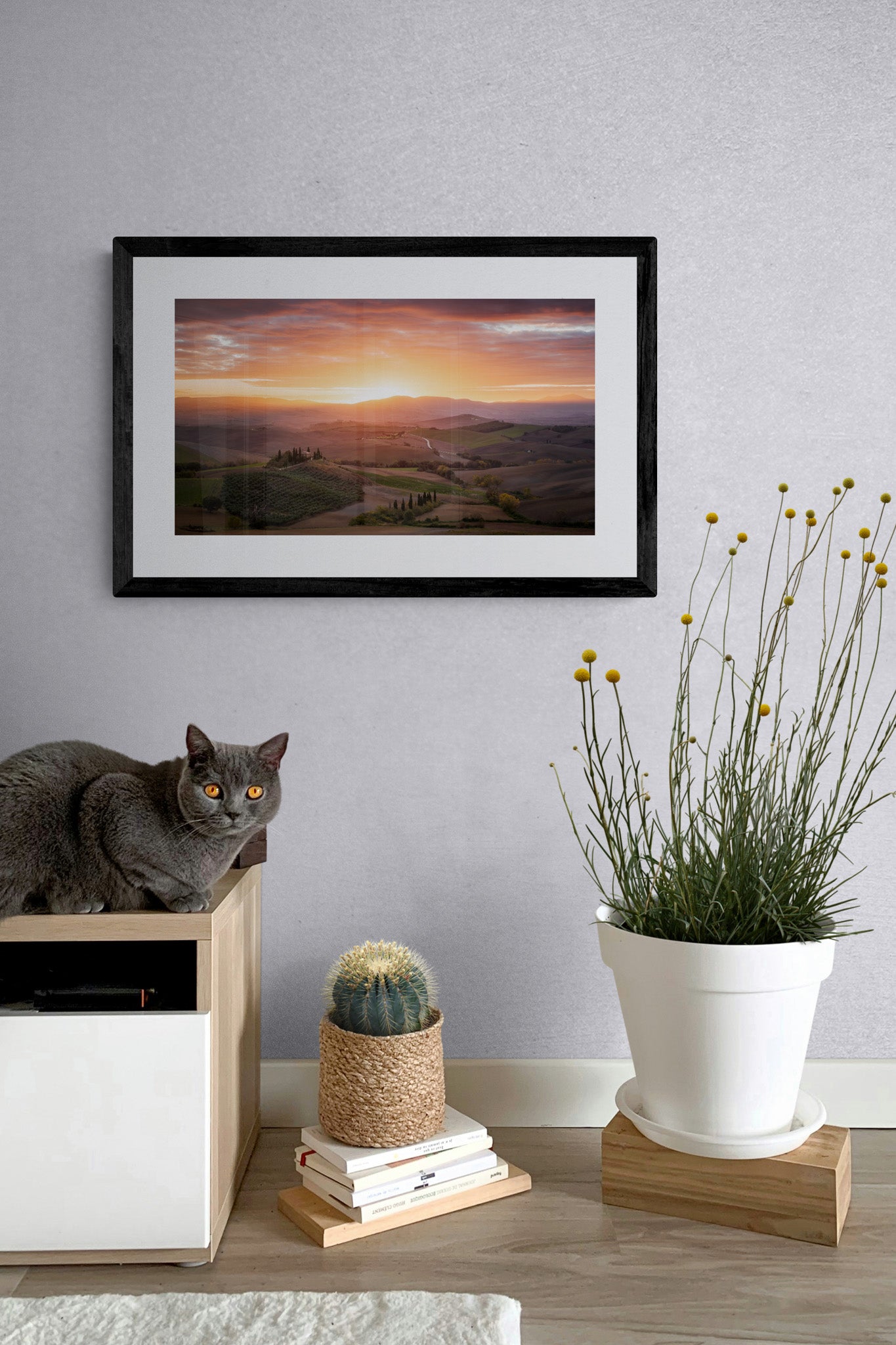 Image Title: Morning Glory Photographer: Marcus Danz Location: Val D'orcia, Italy Image description: The rolling hills of Tuscany and Podere Belvedere are caressed by the soft light of the morning sky. High quality Fine Art print up to 36 inch / around 90 centimeters on Hahnemühle paper available. Small variant in living room.