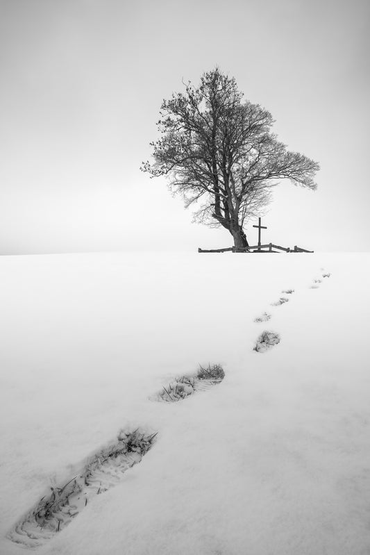 Image Title: The path before you Photographer: Marcus Danz Location: Billerbeck, Germany Image description: Footprints in the snow lead up a hill to a group of trees with a cross. High quality Fine Art print up to 36 inch / around 90 centimeters on Hahnemühle paper available.