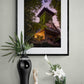 Image Title: Where a Monkey used to live Photographer: Marcus Danz Location: Münster, Germany  Image description: Somewhat hidden away in Münster lies the romantic Tuckesburg, built in 1892 by Hermann Landois next to the zoological gardens he founded 20 years earlier. High quality Fine Art print up to 36 inch / around 90 centimeters on Hahnemühle paper available. Medium variant over sideboard.